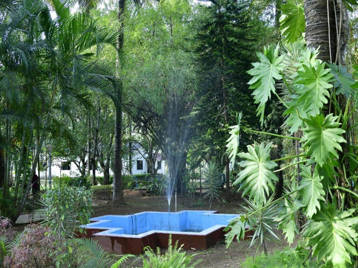 Coorg Green Farm Resort Kushālnagar Exteriér fotografie