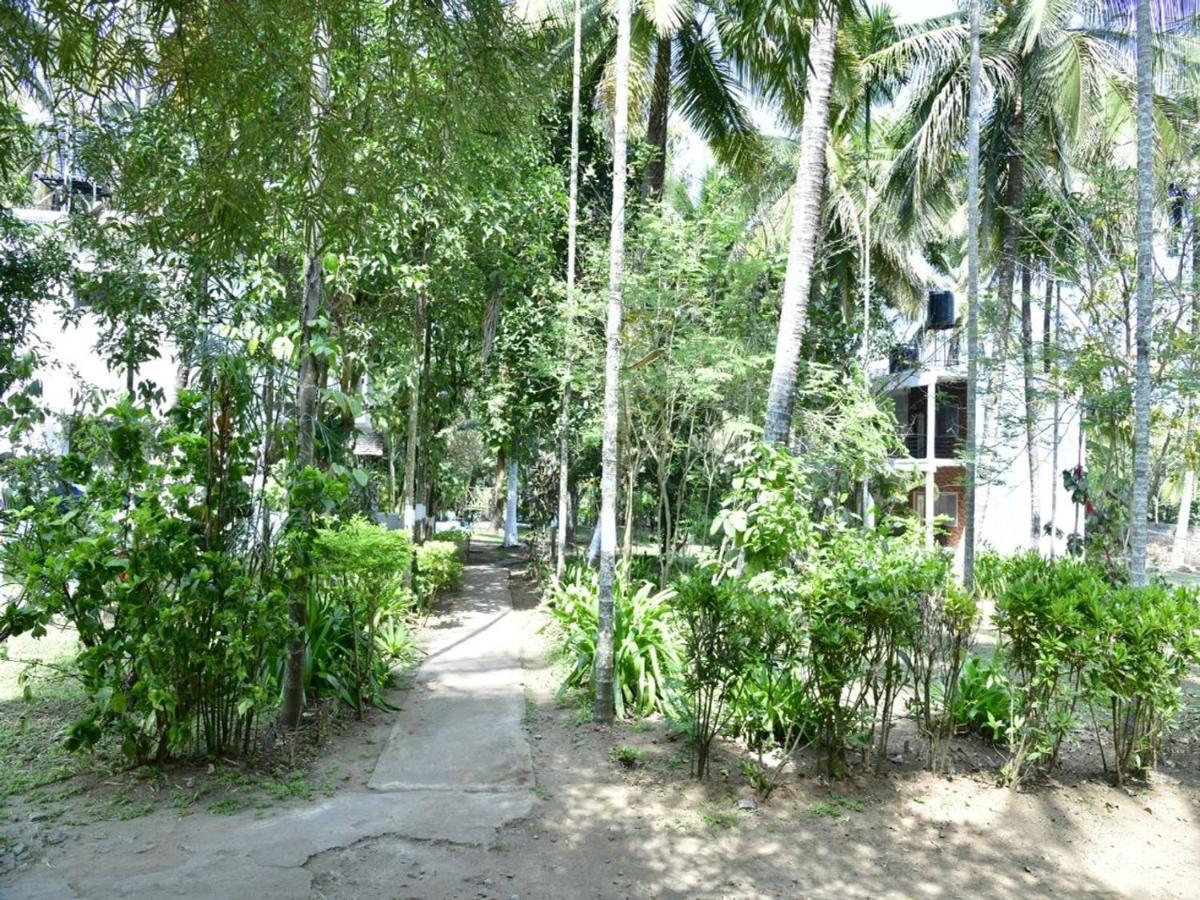 Coorg Green Farm Resort Kushālnagar Exteriér fotografie