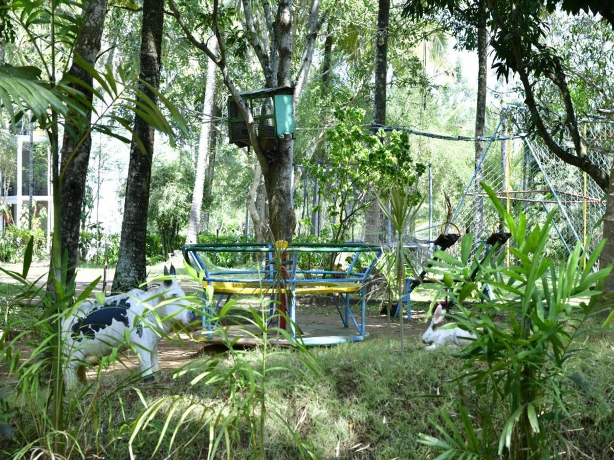 Coorg Green Farm Resort Kushālnagar Exteriér fotografie
